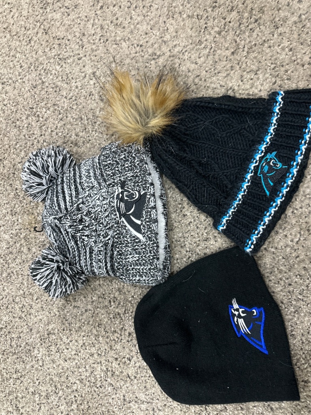 Carolina panthers beanie